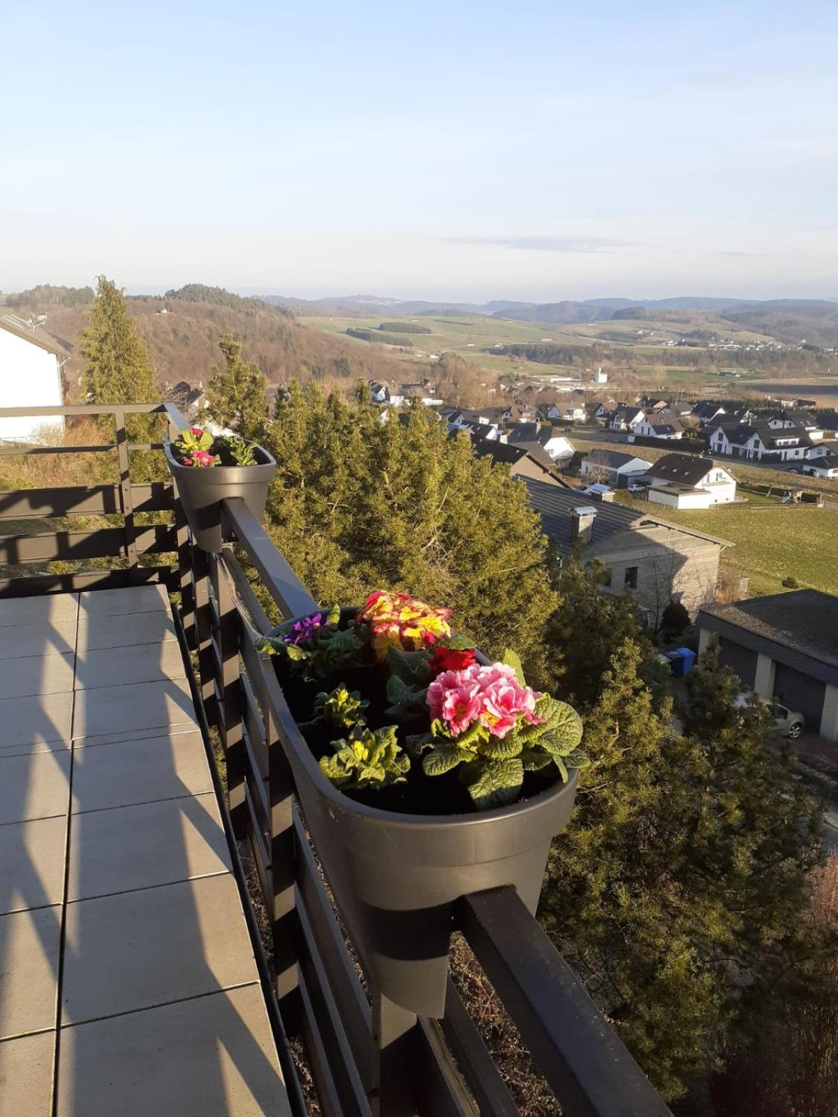 Ferienwohnungen Sternenhimmel Whg 1 Medebach Exterior photo